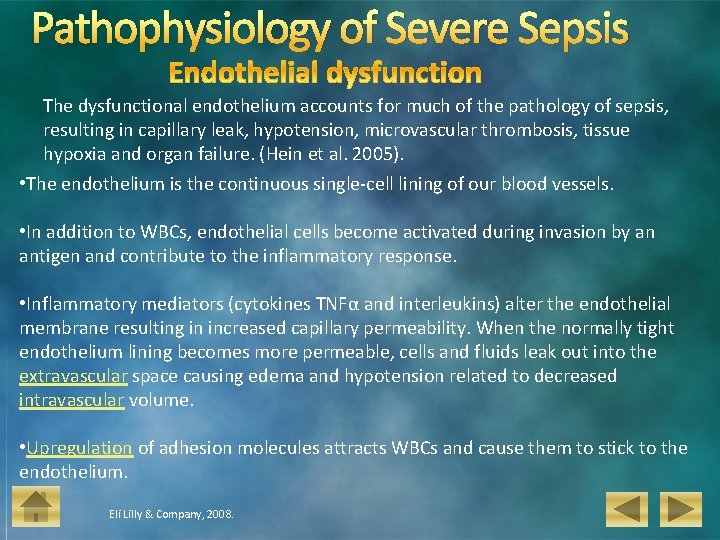 Pathophysiology of Severe Sepsis The dysfunctional endothelium accounts for much of the pathology of