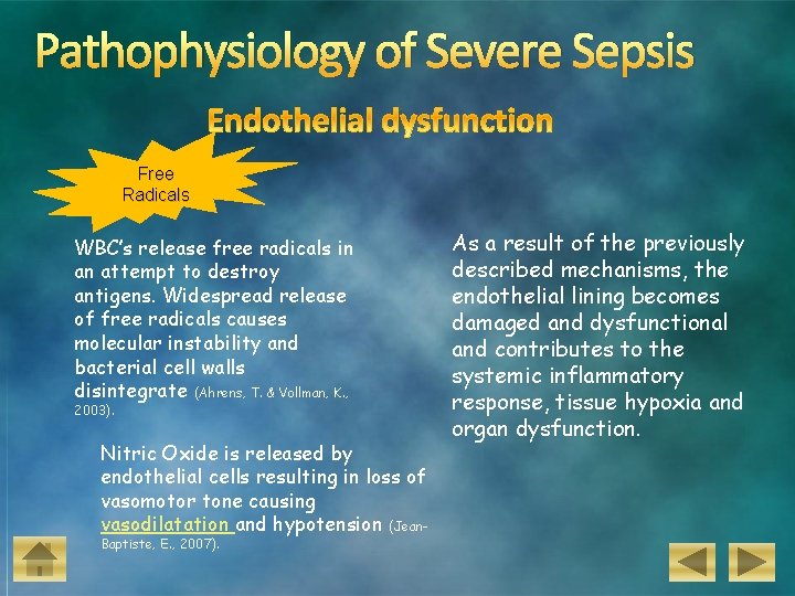 Pathophysiology of Severe Sepsis Free Radicals WBC’s release free radicals in an attempt to