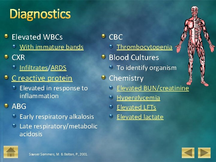 Diagnostics Elevated WBCs With immature bands CXR CBC Thrombocytopenia Blood Cultures Infiltrates/ARDS C reactive