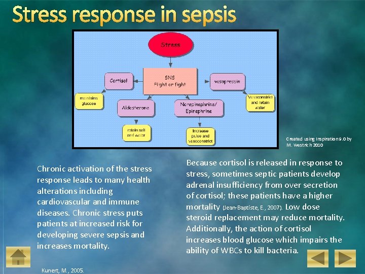 Stress response in sepsis Created using Inspiration 9. 0 by M. Westrich 2010 Chronic