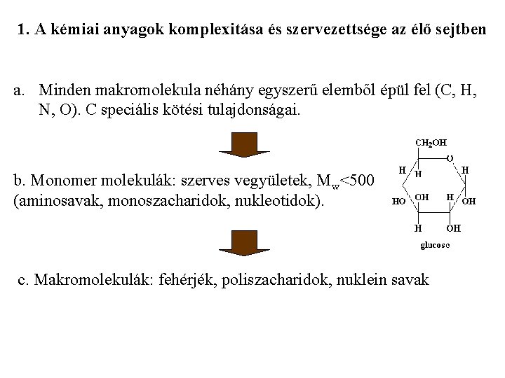 1. A kémiai anyagok komplexitása és szervezettsége az élő sejtben a. Minden makromolekula néhány