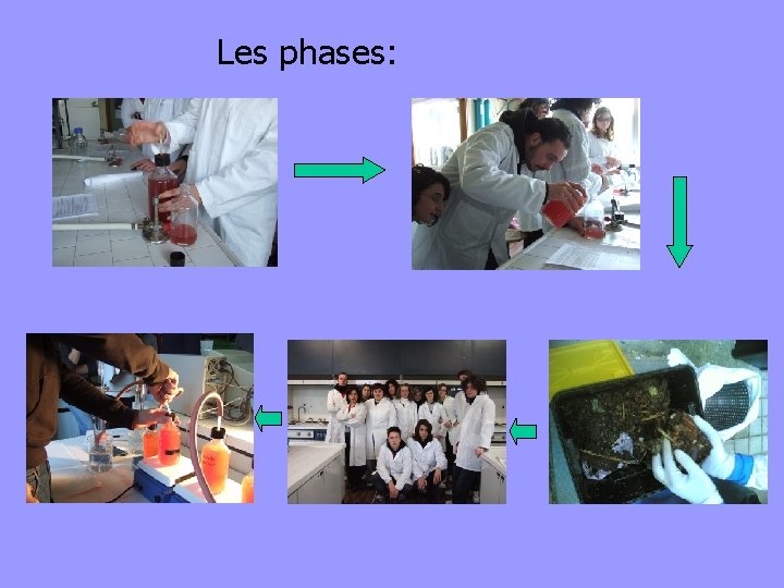 Les phases: 