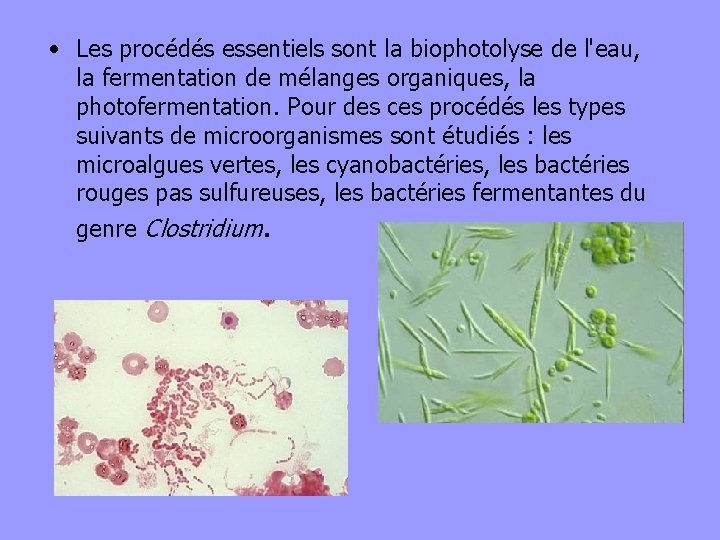  • Les procédés essentiels sont la biophotolyse de l'eau, la fermentation de mélanges