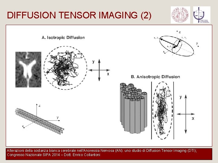 DIFFUSION TENSOR IMAGING (2) - Tecnica RM; - Si basa sul principio della diffusione