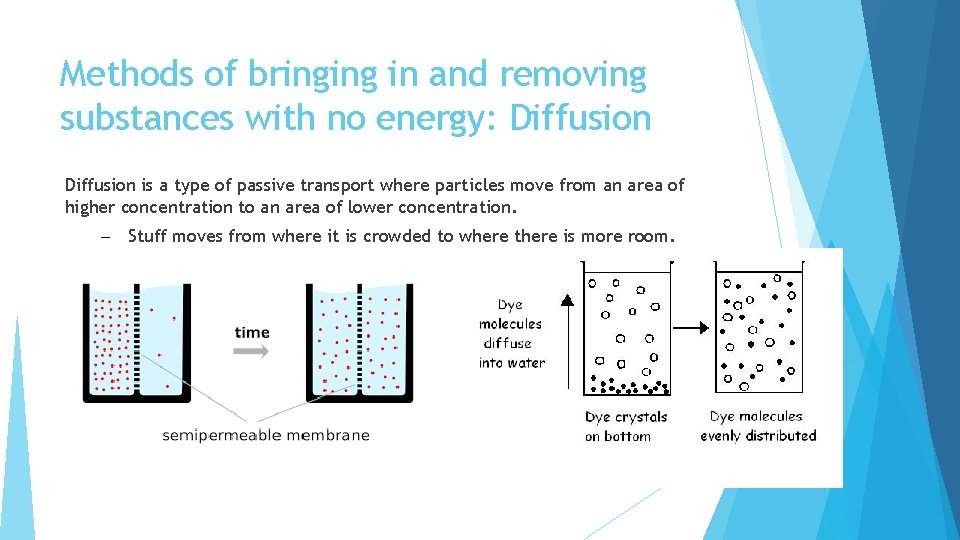 Methods of bringing in and removing substances with no energy: Diffusion is a type