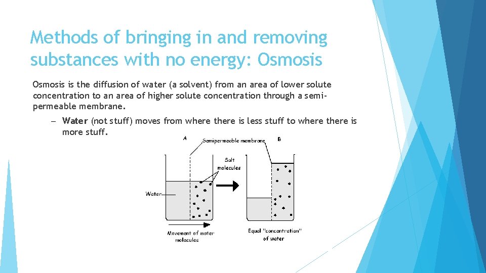 Methods of bringing in and removing substances with no energy: Osmosis is the diffusion