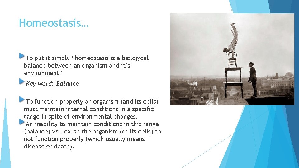 Homeostasis… To put it simply “homeostasis is a biological balance between an organism and