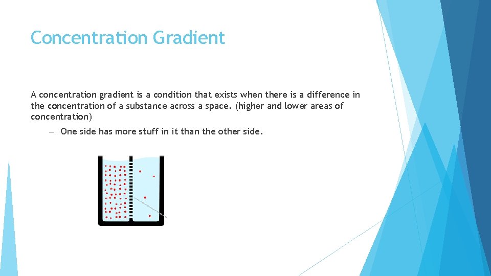 Concentration Gradient A concentration gradient is a condition that exists when there is a