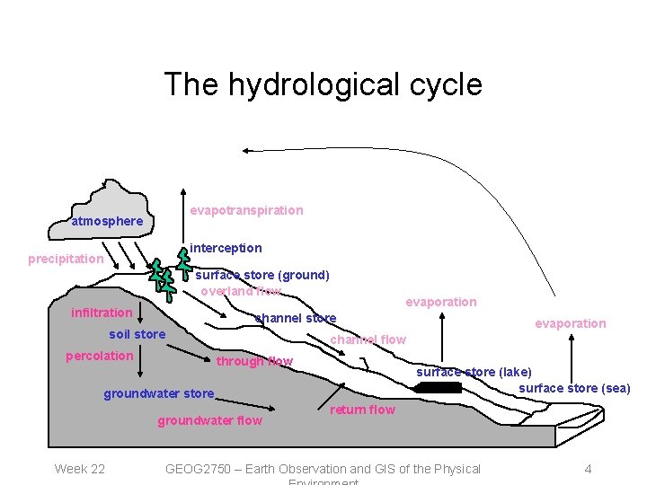The hydrological cycle evapotranspiration atmosphere interception precipitation surface store (ground) overland flow infiltration evaporation