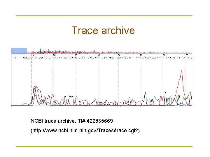 Trace archive NCBI trace archive: TI# 422835669 (http: //www. ncbi. nlm. nih. gov/Traces/trace. cgi?