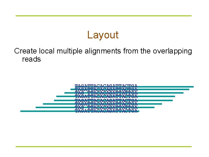 Layout Create local multiple alignments from the overlapping reads TAGATTACACAGATTACTGA TAG TTACACAGATTATTGA TAGATTACACAGATTACTGA 