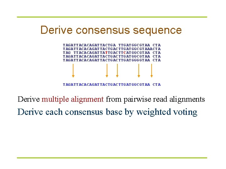 Derive consensus sequence TAGATTACACAGATTACTGA TTGATGGCGTAA CTA TAGATTACACAGATTACTGACTTGATGGCGTAAACTA TAG TTACACAGATTATTGACTTCATGGCGTAA CTA TAGATTACACAGATTACTGACTTGATGGGGTAA CTA TAGATTACACAGATTACTGACTTGATGGCGTAA CTA