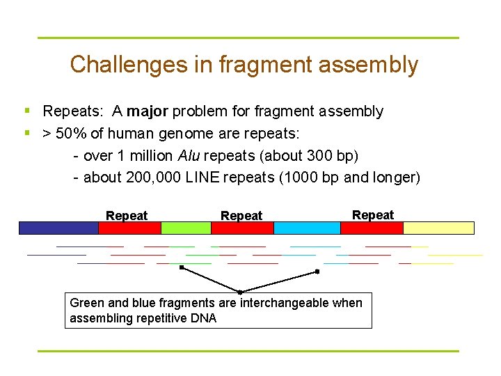 Challenges in fragment assembly § Repeats: A major problem for fragment assembly § >