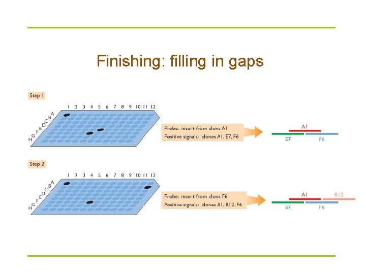 Finishing: filling in gaps 