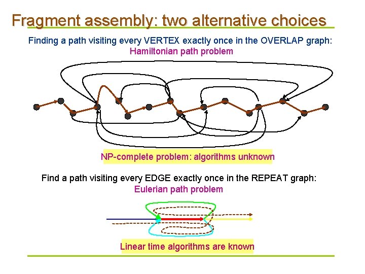 Fragment assembly: two alternative choices Finding a path visiting every VERTEX exactly once in