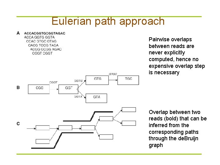 Eulerian path approach Pairwise overlaps between reads are never explicitly computed, hence no expensive