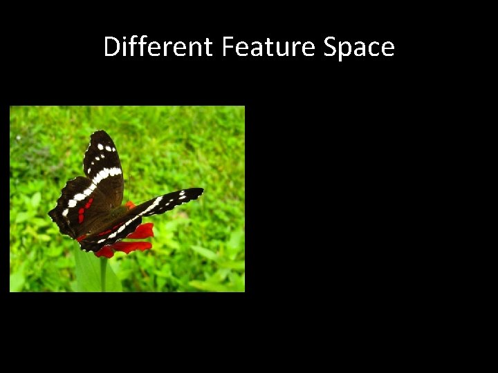 Different Feature Space 