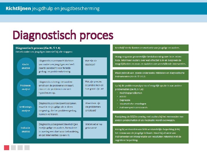 Diagnostisch proces 