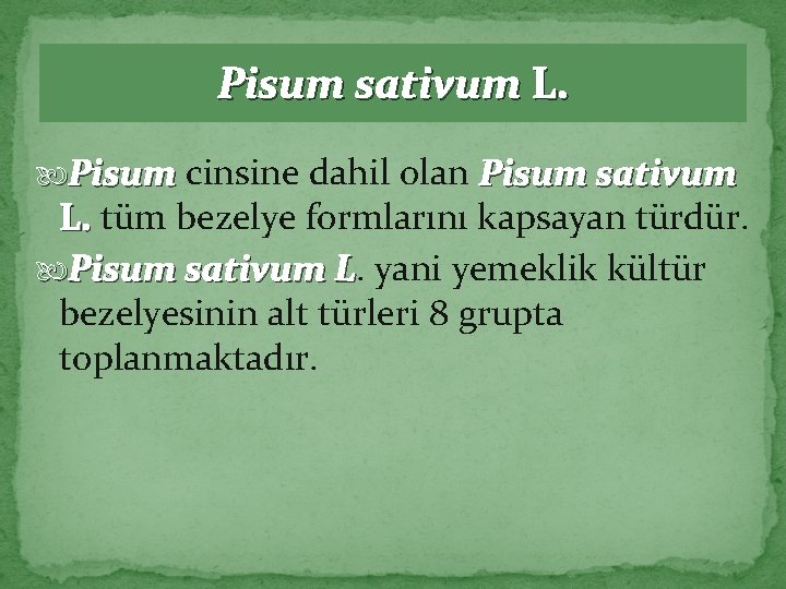 Pisum sativum L. Pisum cinsine dahil olan Pisum sativum L. tüm bezelye formlarını kapsayan