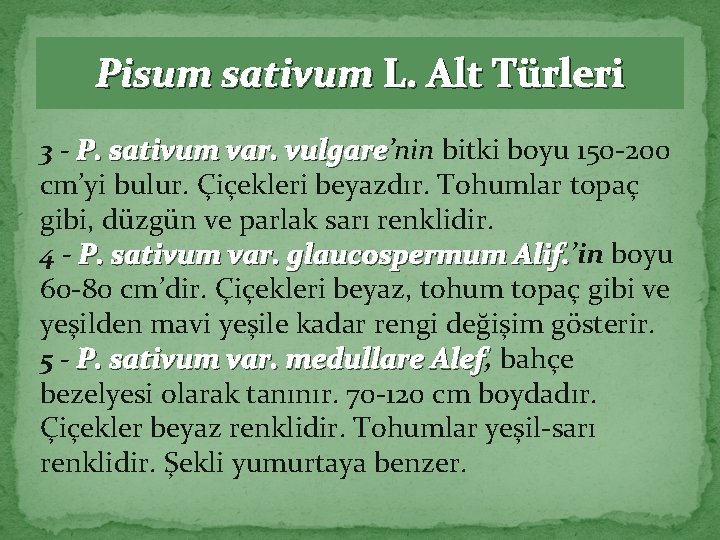 Pisum sativum L. Alt Türleri 3 - P. sativum var. vulgare’nin bitki boyu 150