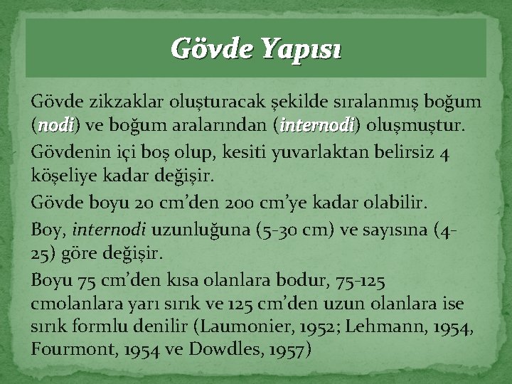 Gövde Yapısı Gövde zikzaklar oluşturacak şekilde sıralanmış boğum (nodi) nodi ve boğum aralarından (internodi)