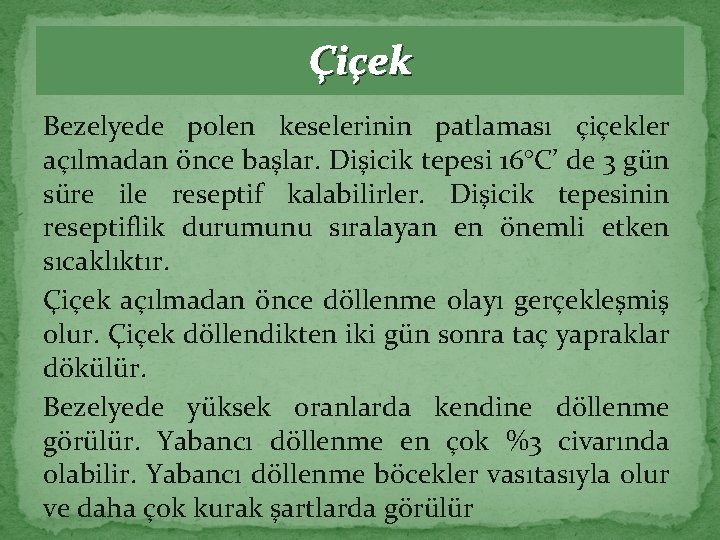 Çiçek Bezelyede polen keselerinin patlaması çiçekler açılmadan önce başlar. Dişicik tepesi 16°C’ de 3