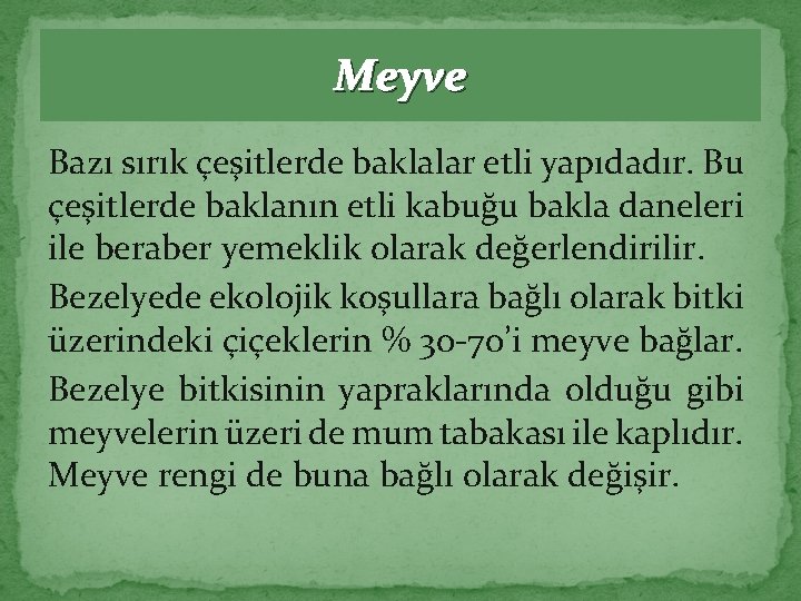 Meyve Bazı sırık çeşitlerde baklalar etli yapıdadır. Bu çeşitlerde baklanın etli kabuğu bakla daneleri