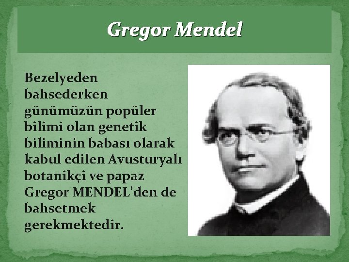 Gregor Mendel Bezelyeden bahsederken günümüzün popüler bilimi olan genetik biliminin babası olarak kabul edilen
