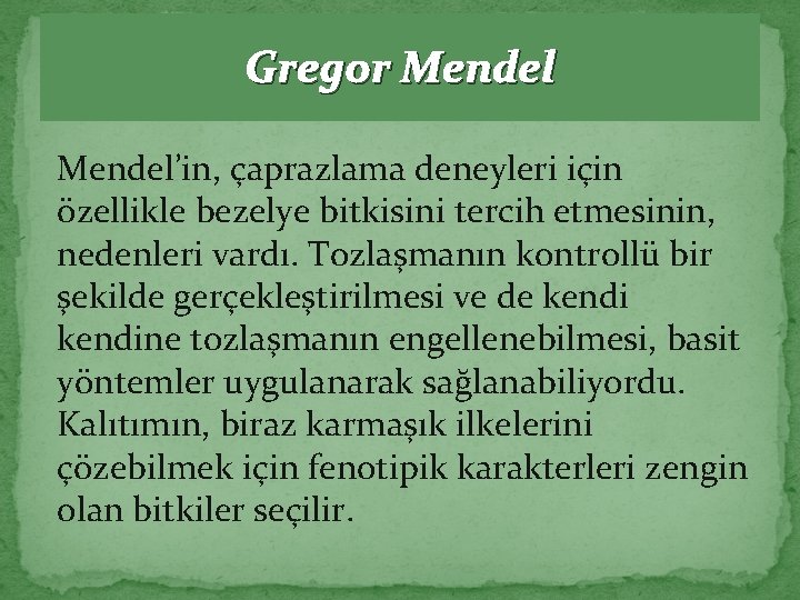Gregor Mendel’in, çaprazlama deneyleri için özellikle bezelye bitkisini tercih etmesinin, nedenleri vardı. Tozlaşmanın kontrollü