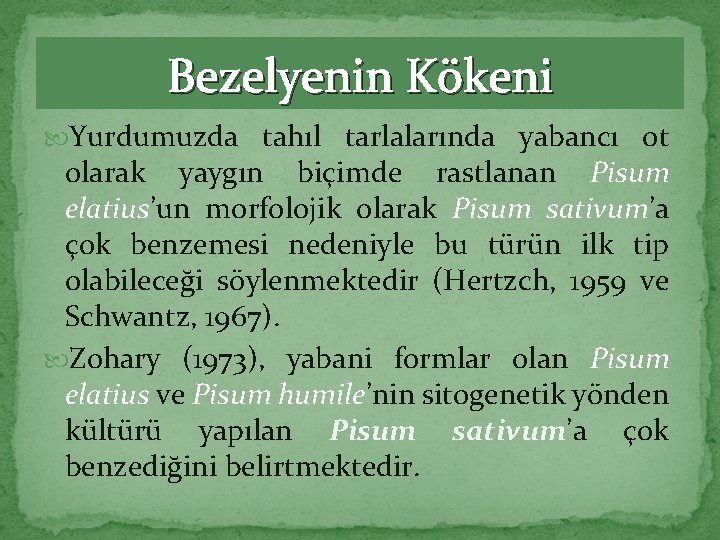 Bezelyenin Kökeni Yurdumuzda tahıl tarlalarında yabancı ot olarak yaygın biçimde rastlanan Pisum elatius’un morfolojik