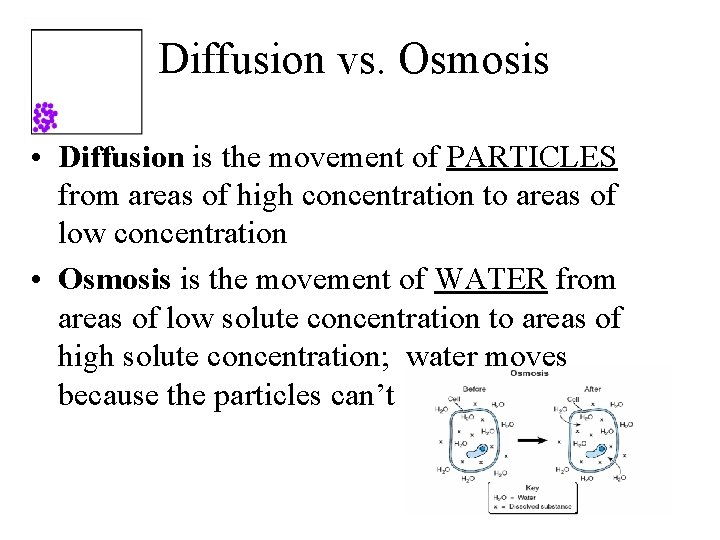 Diffusion vs. Osmosis • Diffusion is the movement of PARTICLES from areas of high