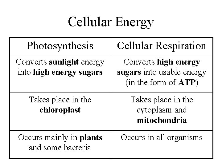 Cellular Energy Photosynthesis Cellular Respiration Converts sunlight energy into high energy sugars Converts high