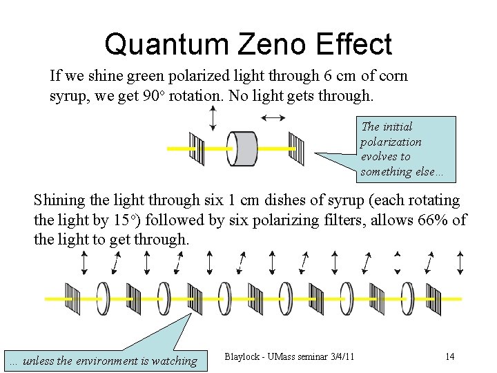 Quantum Zeno Effect If we shine green polarized light through 6 cm of corn
