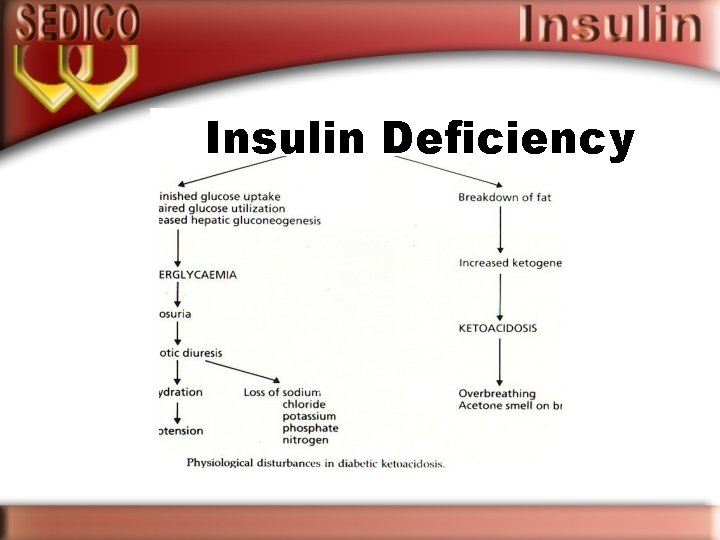 Insulin Deficiency 