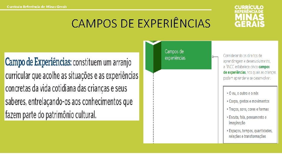 Currículo Referência de Minas Gerais CAMPOS DE EXPERIÊNCIAS 