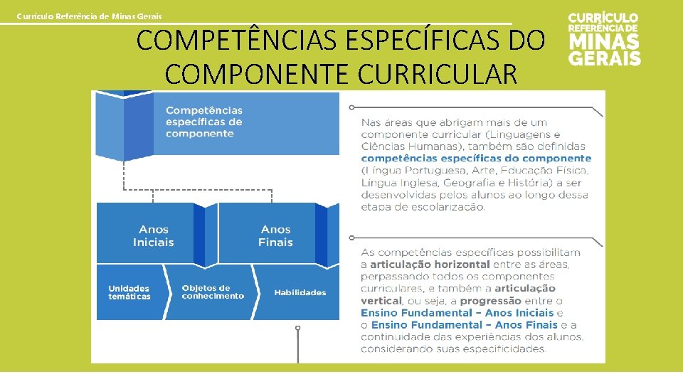 Currículo Referência de Minas Gerais COMPETÊNCIAS ESPECÍFICAS DO COMPONENTE CURRICULAR 