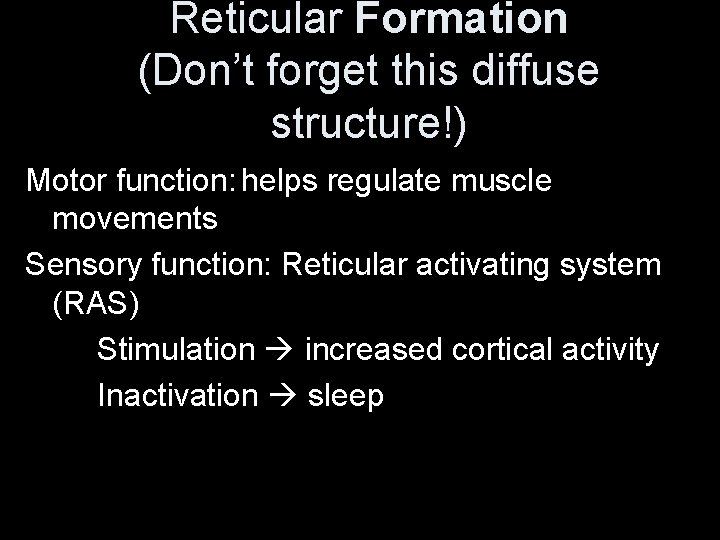 Reticular Formation (Don’t forget this diffuse structure!) Motor function: helps regulate muscle movements Sensory