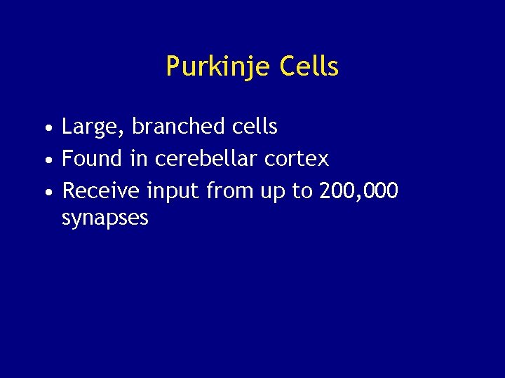 Purkinje Cells • Large, branched cells • Found in cerebellar cortex • Receive input