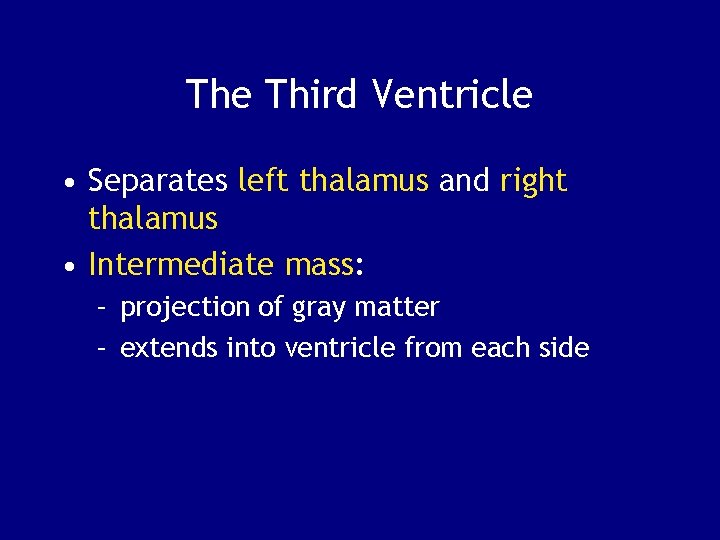 The Third Ventricle • Separates left thalamus and right thalamus • Intermediate mass: –