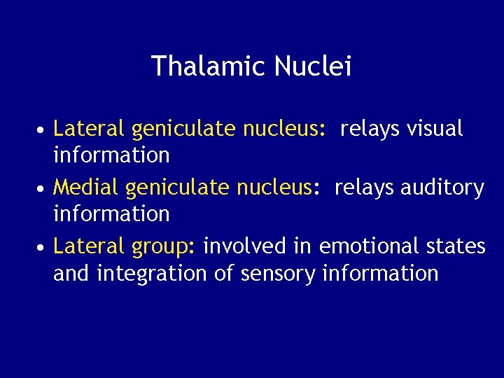 Thalamic Nuclei • Lateral geniculate nucleus: relays visual information • Medial geniculate nucleus: relays