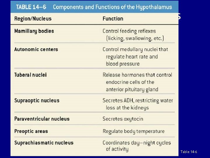 Summary: The Hypothalamus Table 14 -6 