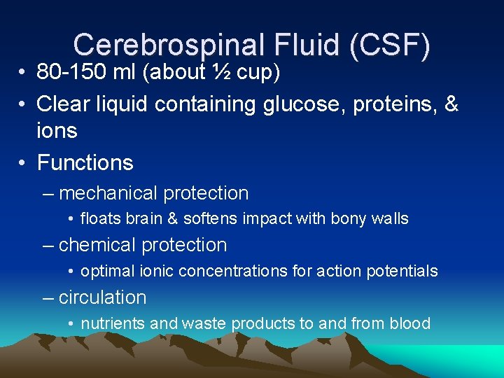 Cerebrospinal Fluid (CSF) • 80 -150 ml (about ½ cup) • Clear liquid containing