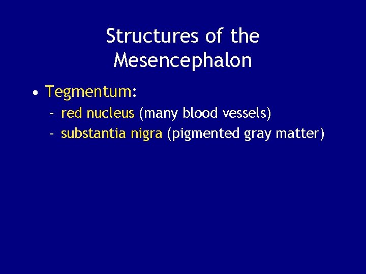 Structures of the Mesencephalon • Tegmentum: – red nucleus (many blood vessels) – substantia
