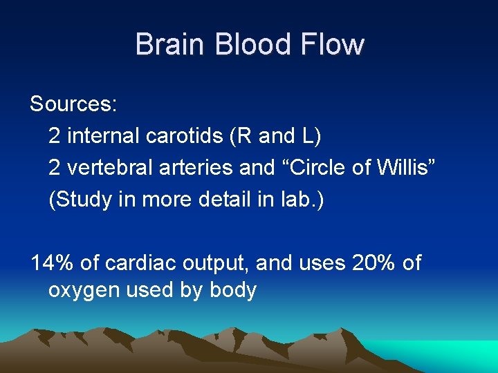 Brain Blood Flow Sources: 2 internal carotids (R and L) 2 vertebral arteries and