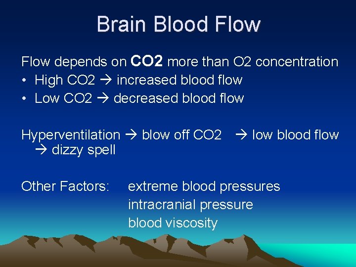 Brain Blood Flow depends on CO 2 more than O 2 concentration • High