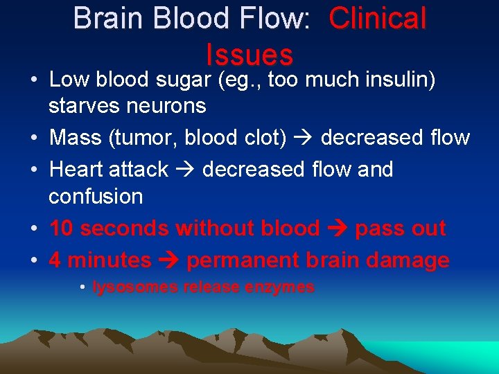 Brain Blood Flow: Clinical Issues • Low blood sugar (eg. , too much insulin)