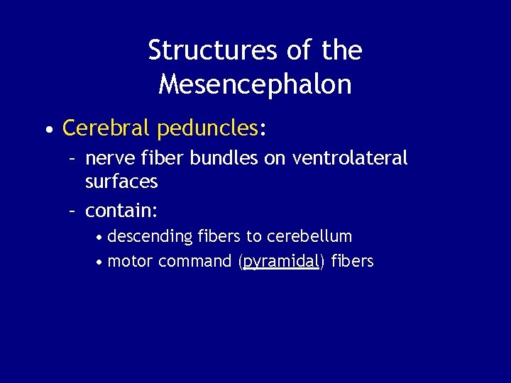 Structures of the Mesencephalon • Cerebral peduncles: – nerve fiber bundles on ventrolateral surfaces