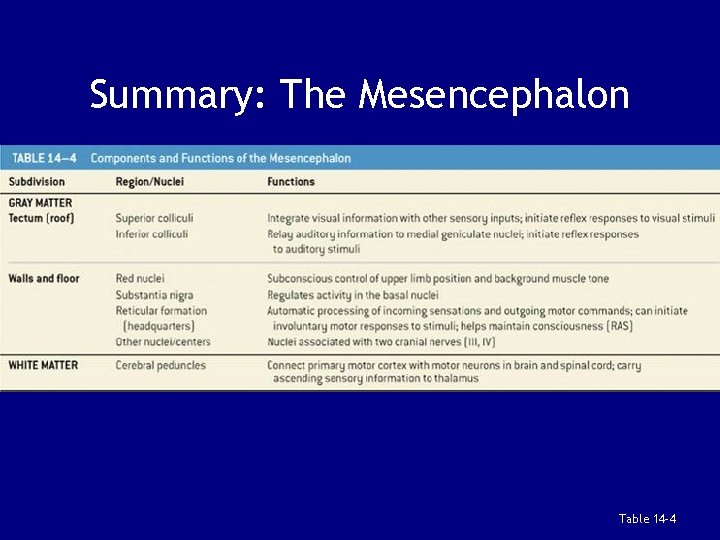 Summary: The Mesencephalon Table 14 -4 