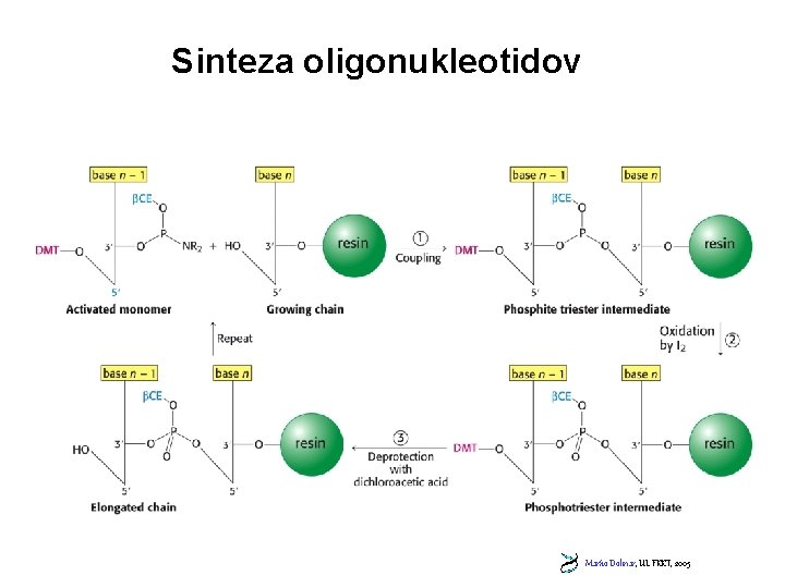 Sinteza oligonukleotidov Marko Dolinar, UL FKKT, 2005 