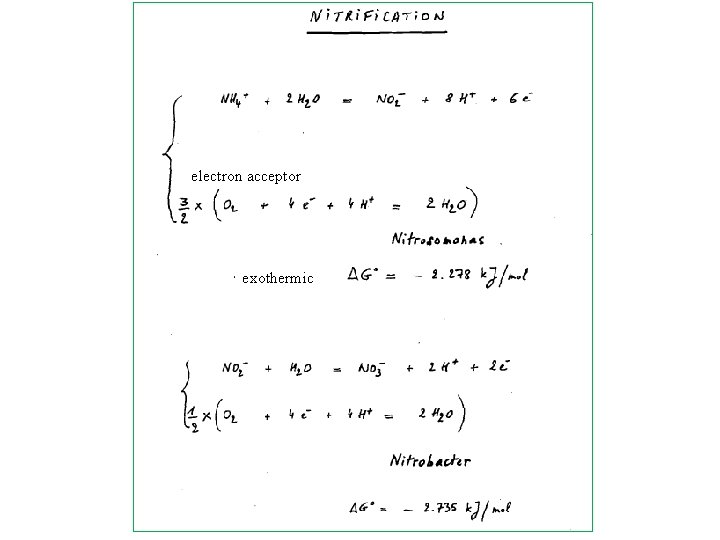 electron acceptor exothermic 